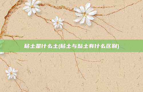 粘土是什么土(粘土与黏土有什么区别)