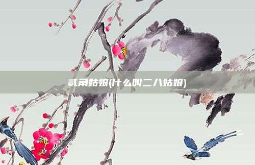 贰角姑娘(什么叫二八姑娘)
