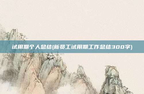 试用期个人总结(新员工试用期工作总结300字)