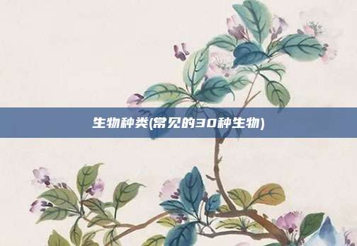 生物种类(常见的30种生物)