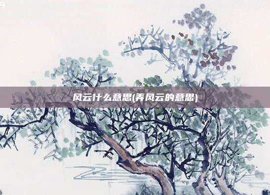 风云什么意思(弄风云的意思)