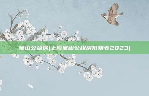 宝山公租房(上海宝山公租房价格表2023)