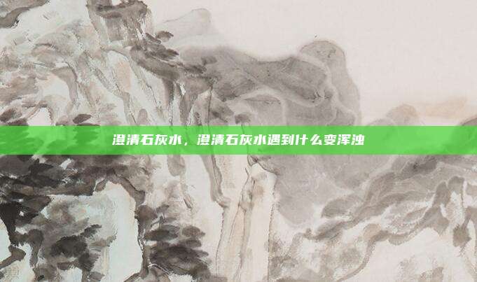 澄清石灰水，澄清石灰水遇到什么变浑浊
