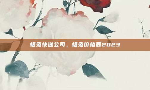 极兔快递公司,极兔价格表2023