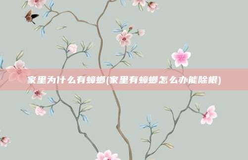 家里为什么有蟑螂(家里有蟑螂怎么办能除根)