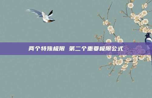两个特殊极限 第二个重要极限公式
