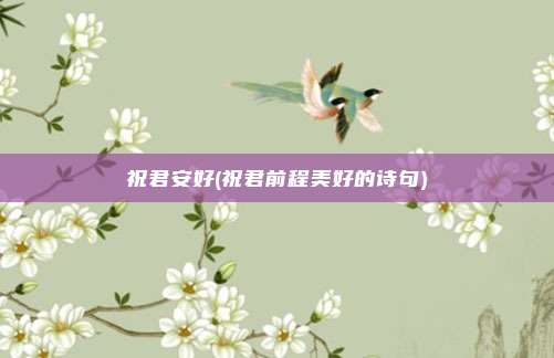 祝君安好(祝君前程美好的诗句)