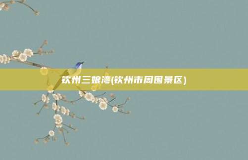 钦州三娘湾(钦州市周围景区)