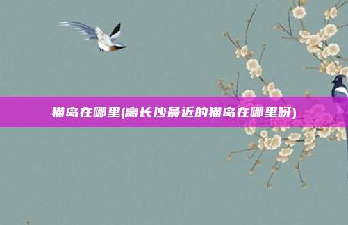猫岛在哪里(离长沙最近的猫岛在哪里呀)