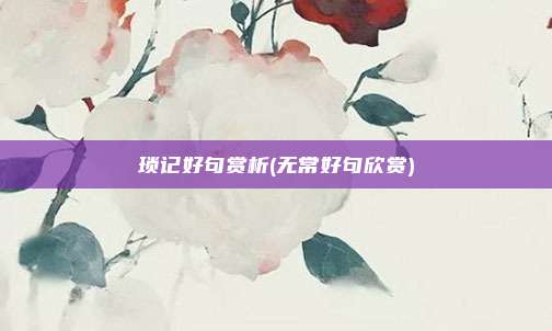 琐记好句赏析(无常好句欣赏)