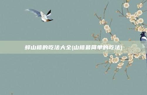 鲜山楂的吃法大全(山楂最简单的吃法)
