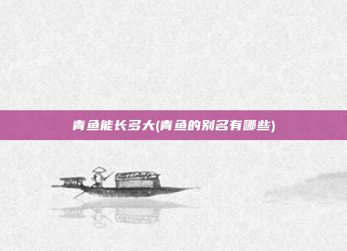 青鱼能长多大(青鱼的别名有哪些)