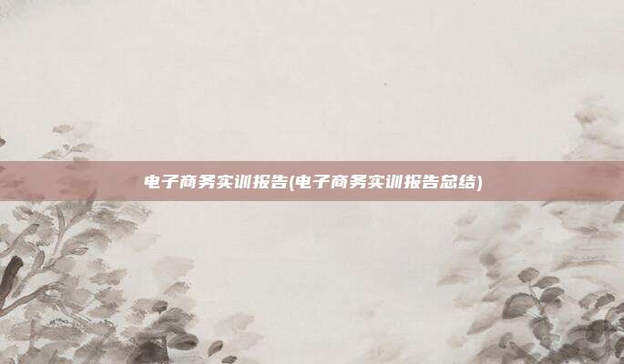 电子商务实训报告(电子商务实训报告总结)