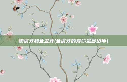 烤瓷牙和全瓷牙(全瓷牙的寿命是多少年)