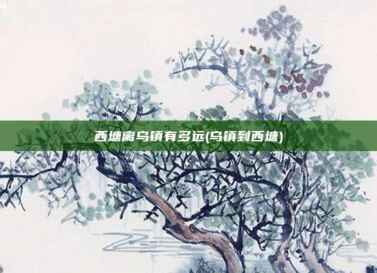 西塘离乌镇有多远(乌镇到西塘)