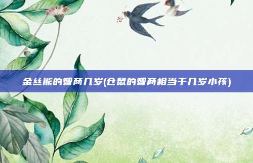金丝熊的智商几岁(仓鼠的智商相当于几岁小孩)