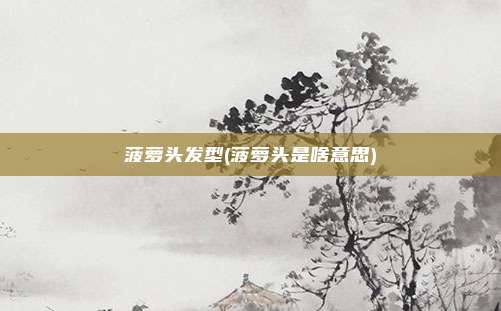 菠萝头发型(菠萝头是啥意思)
