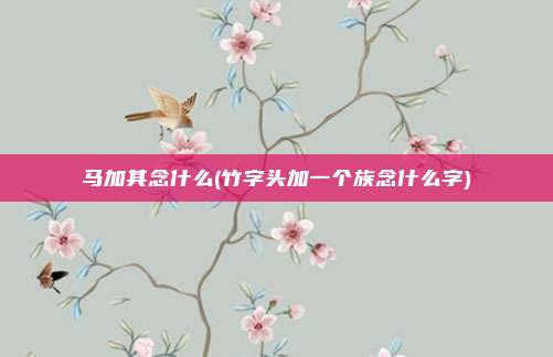 马加其念什么(竹字头加一个族念什么字)