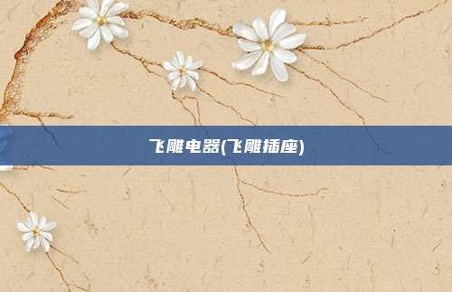 飞雕电器(飞雕插座)