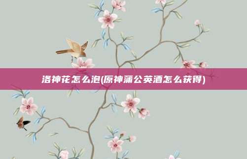 洛神花怎么泡(原神蒲公英酒怎么获得)