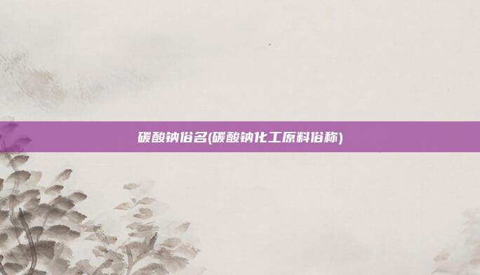 碳酸钠俗名(碳酸钠化工原料俗称)