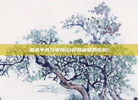 英文中有分号吗(分号和逗号的区别)