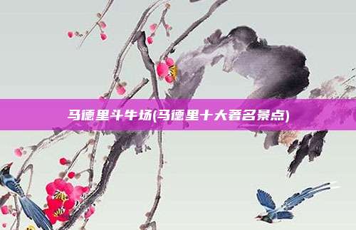 马德里斗牛场(马德里十大著名景点)