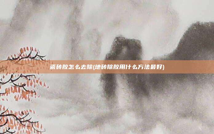 瓷砖胶怎么去除(地砖除胶用什么方法最好)