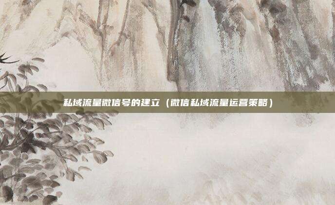 私域流量微信号的建立(微信私域流量运营策略)