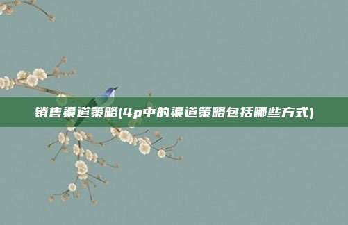 销售渠道策略(4p中的渠道策略包括哪些方式)