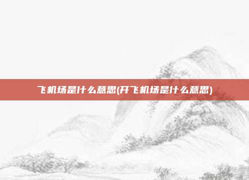 飞机场是什么意思(开飞机场是什么意思)