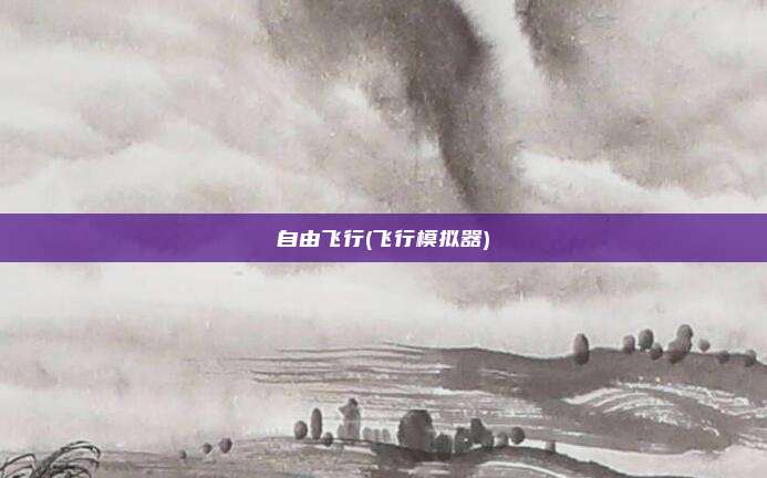自由飞行(飞行模拟器)