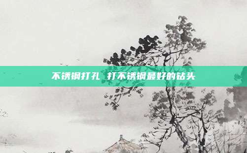 不锈钢打孔 打不锈钢最好的钻头