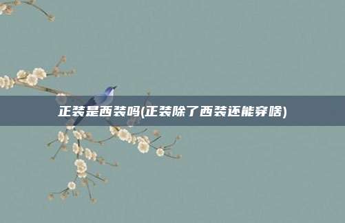 正装是西装吗(正装除了西装还能穿啥)