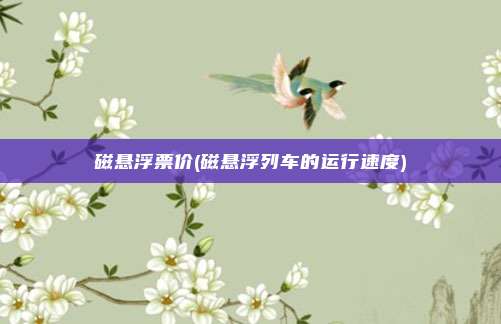 磁悬浮票价(磁悬浮列车的运行速度)