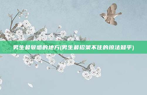 男生最敏感的地方(男生最招架不住的撩法知乎)