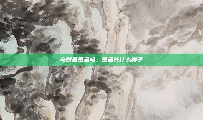 乌贼是墨鱼吗,墨鱼长什么样子
