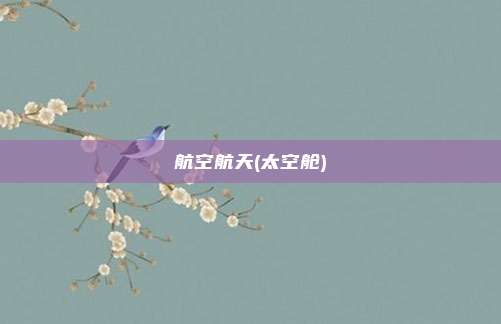 航空航天(太空舱)