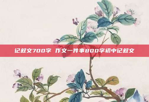 记叙文700字 作文一件事800字初中记叙文