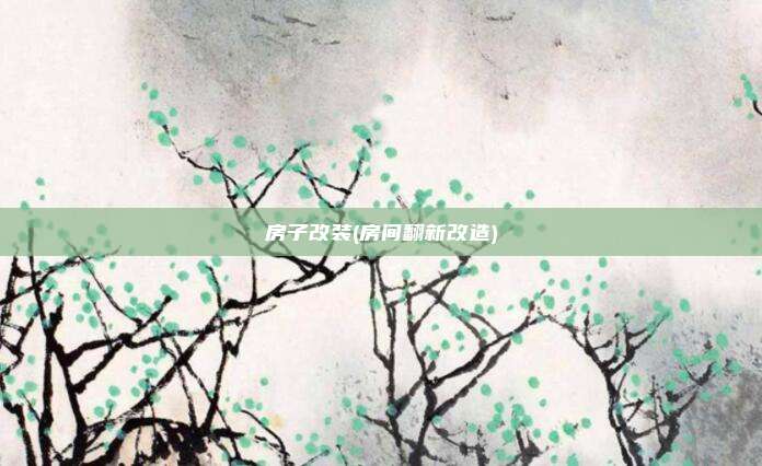 房子改装(房间翻新改造)