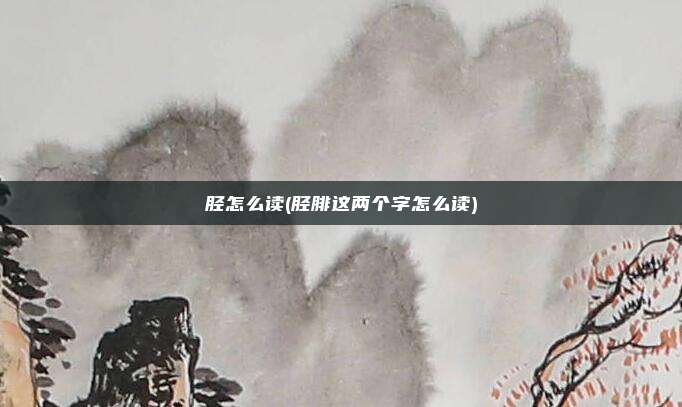 胫怎么读(胫腓这两个字怎么读)