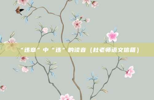“违章”中“违”的读音（杜老师语文信箱）