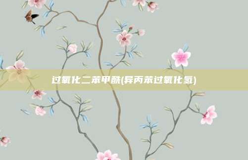 过氧化二苯甲酰(异丙苯过氧化氢)