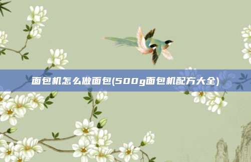 面包机怎么做面包(500g面包机配方大全)