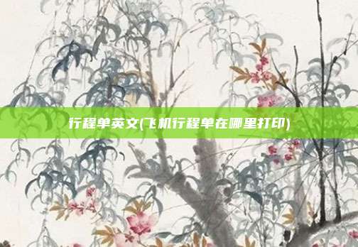 行程单英文(飞机行程单在哪里打印)