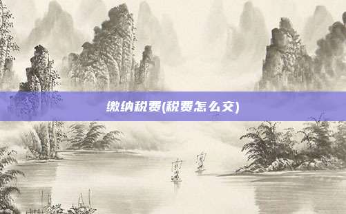 缴纳税费(税费怎么交)