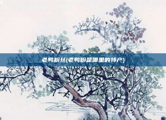 老鸭粉丝(老鸭粉是哪里的特产)