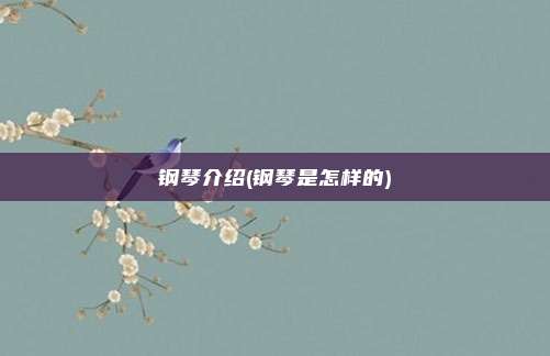 钢琴介绍(钢琴是怎样的)
