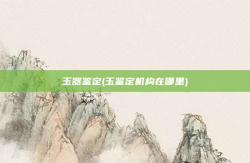 玉器鉴定(玉鉴定机构在哪里)