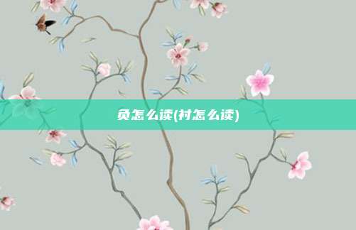 负怎么读(衬怎么读)